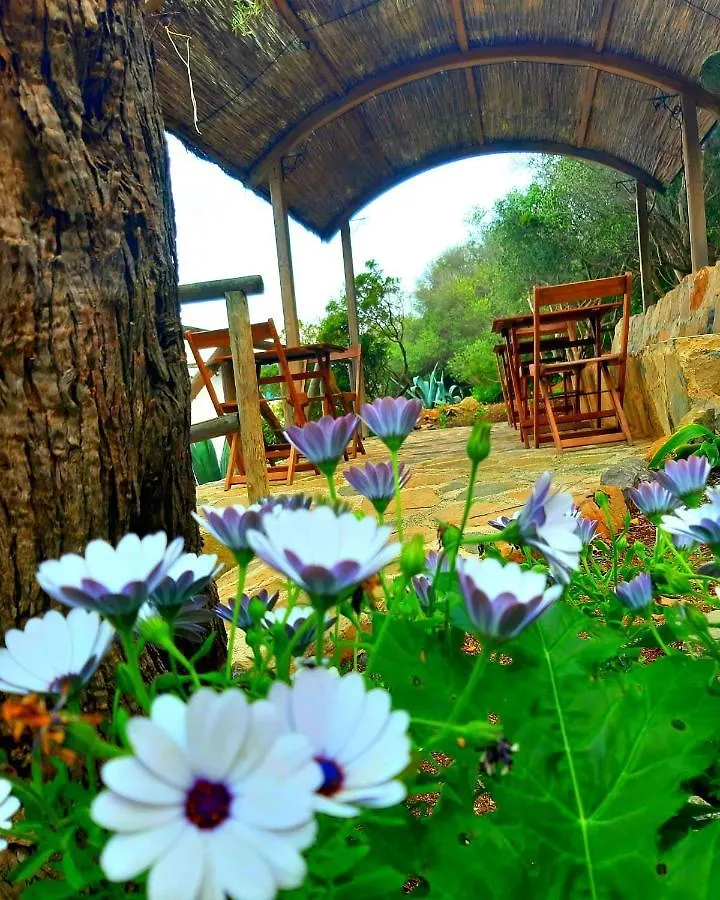 **** Aparthotel Marettimo Residence Italy